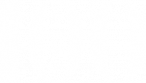 Logo Schriftzug 100