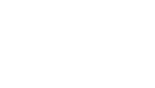 Logo Schriftzug 100